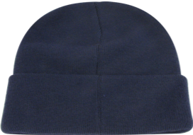 Paramount Beanie